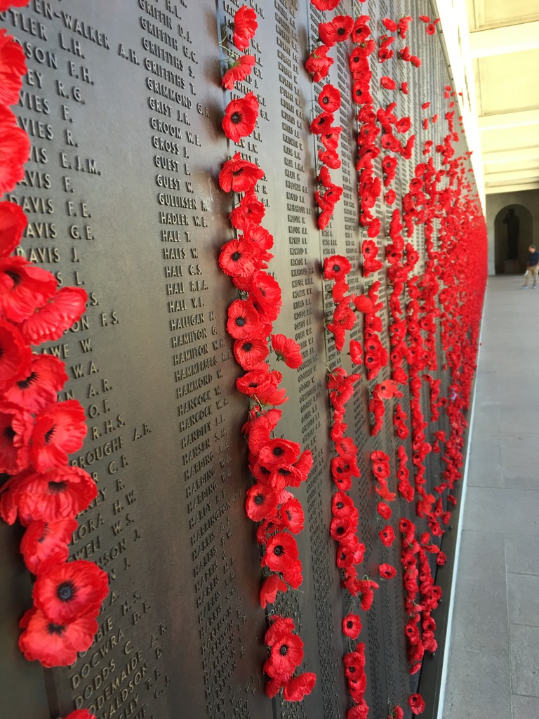 44988C7A-A3C4-4329-A601-5A2A7E45227F_zps