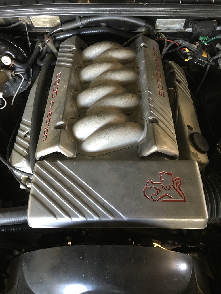 E83BE9EE-71AA-421F-9214-A366F069020B_zps