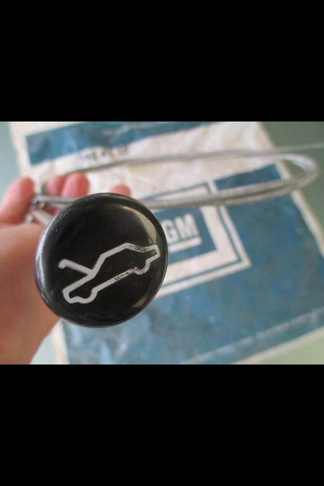 B8E0BE85-D963-4FE0-BE04-024345BC9F9B-272